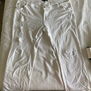 Ladies Plus Size Distressed Jean Capris